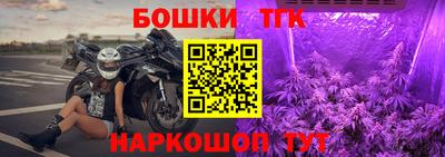 индика Обь