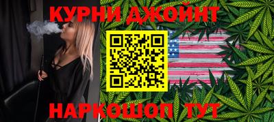индика Обь