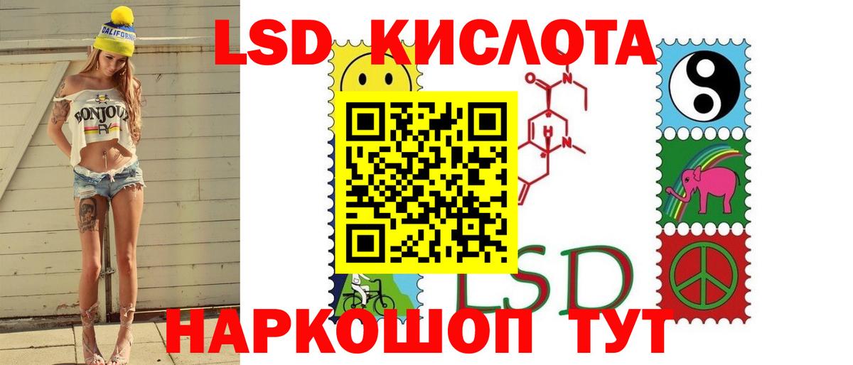 Псилоцибиновые грибы Сертолово
